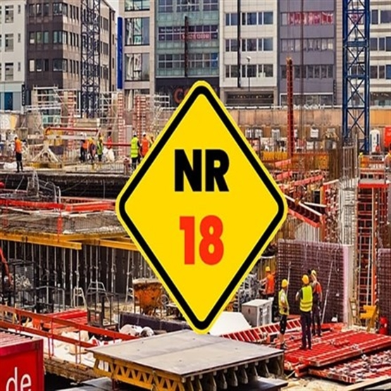 NR 18 Condições de Segurança e Saúde no Trabalho na Industria da Construção